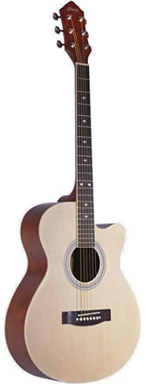 Hertz HZA 4010 Acoustic Guitar